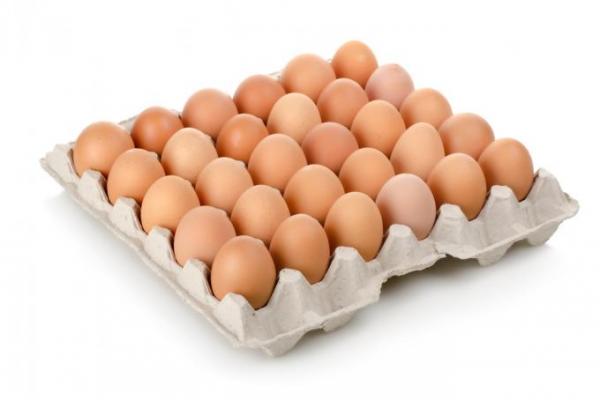 Cartones de huevos